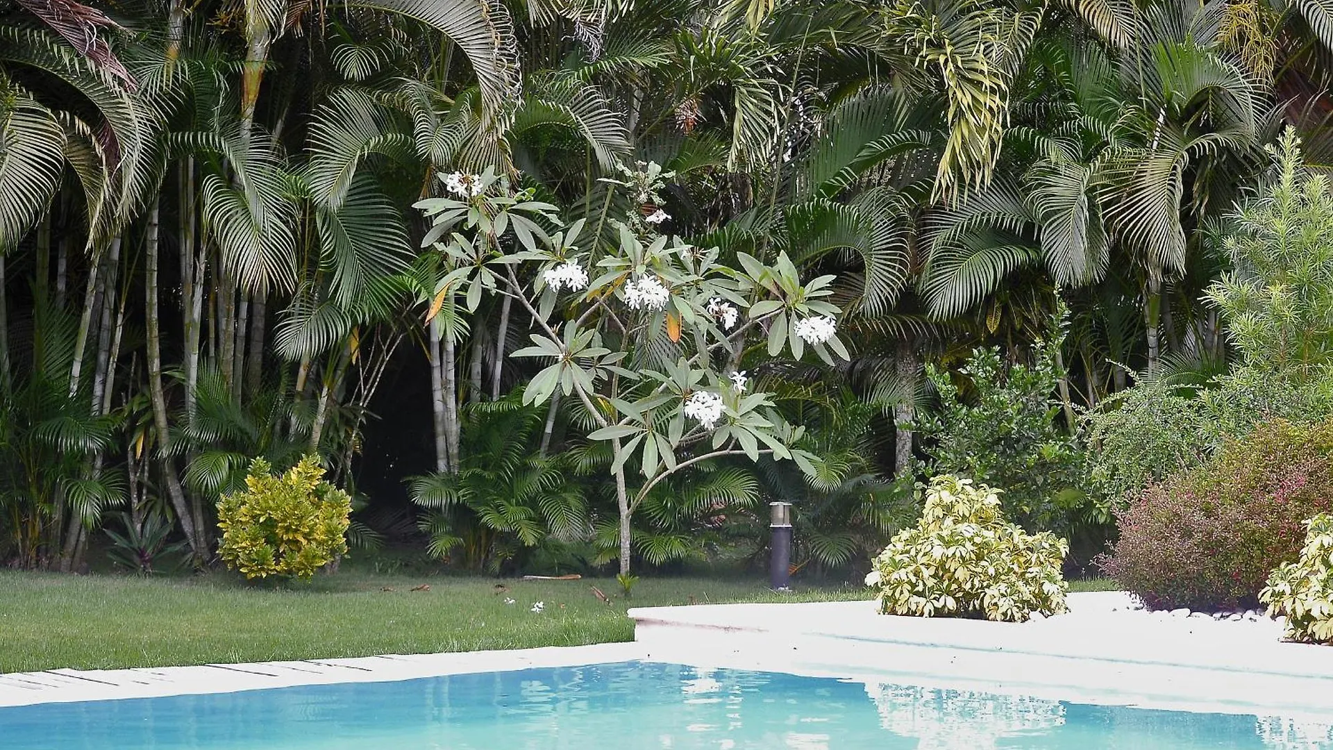 Seaside Villa With Housekeeping Staff - Las Terrenas