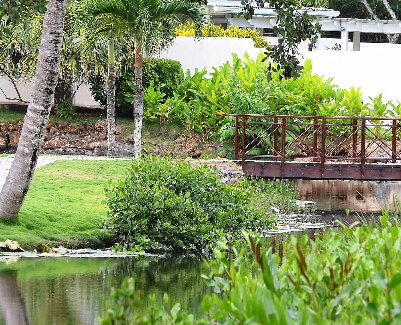 Seaside Villa With Housekeeping Staff - Las Terrenas