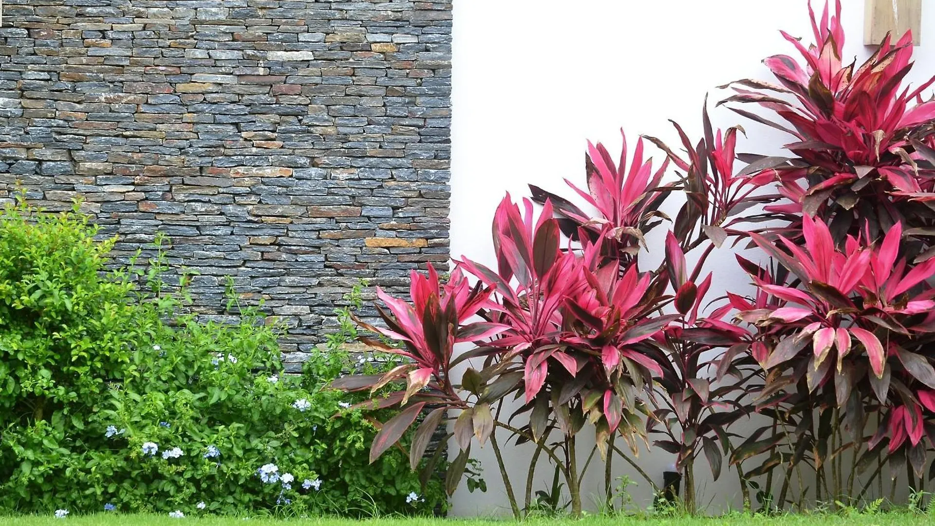 Seaside Villa With Housekeeping Staff - Las Terrenas